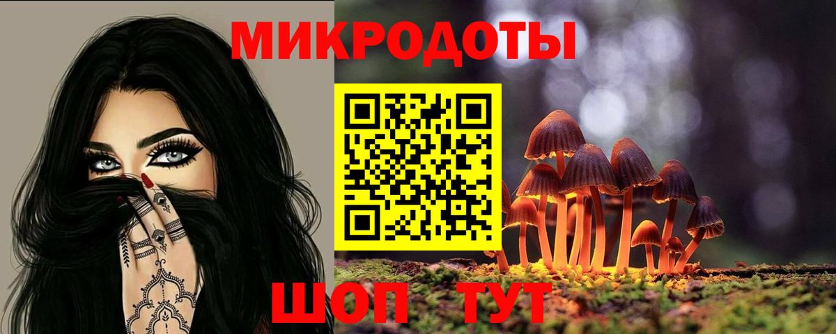 Алатырь  Галлюциногенные грибы Psilocybine cubensis  Вход с VPN 