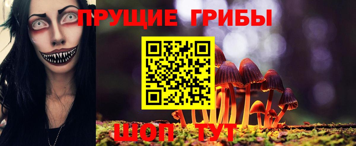 Галлюциногенные грибы мицелий Алатырь